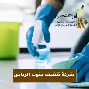 شركة تنظيف جنوب الرياض,افضل شركة تنظيف خزانات بالرياض السبعي