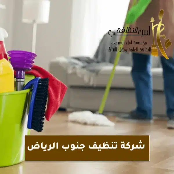افضل شركة تنظيف جنوب الرياض