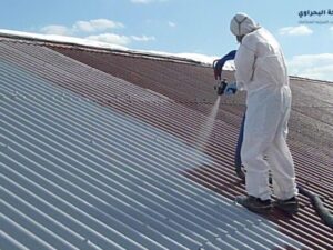 تنظيف اسطح المنازل